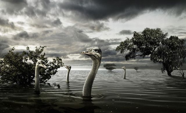 World’s Best Photo Retouching (76 pics)