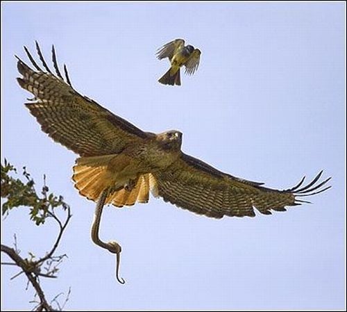 Daily picdump (127 pics)