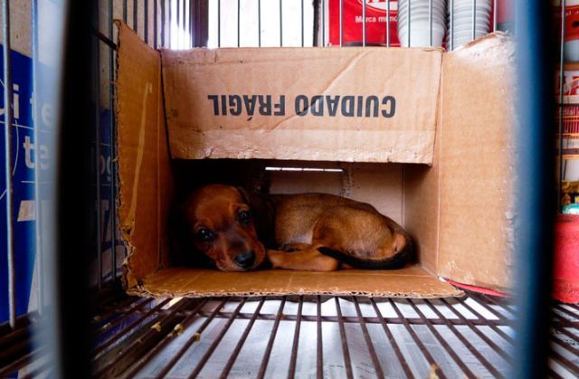 Daily picdump (127 pics)