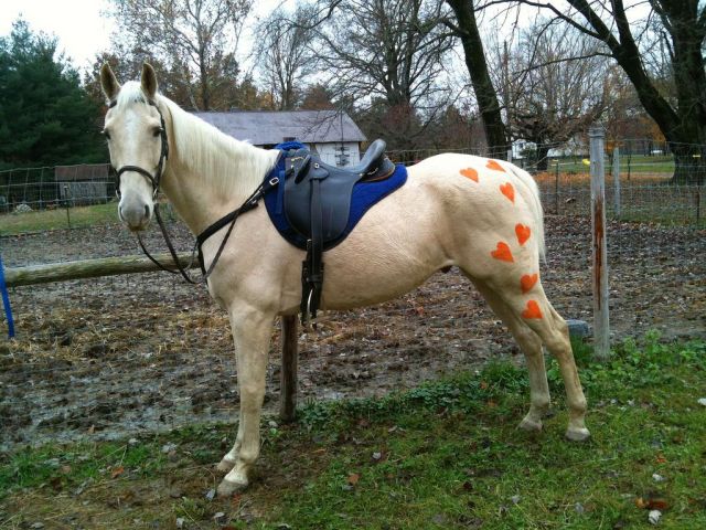 Daily picdump (127 pics)