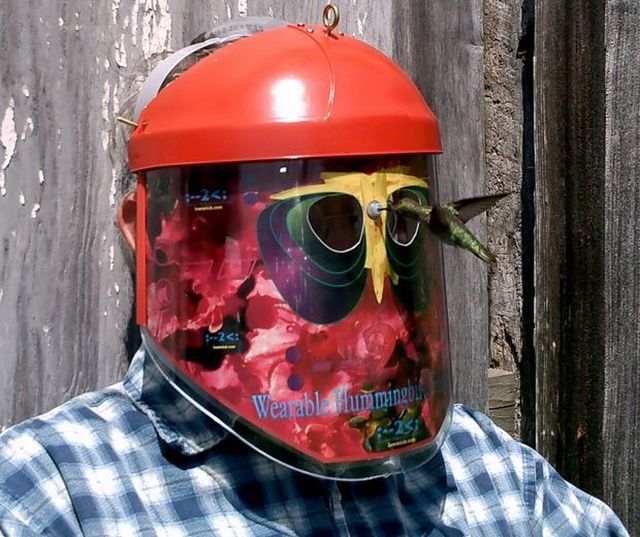 Daily picdump (127 pics)