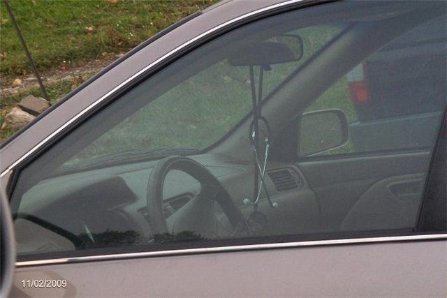 Daily picdump (118 pics)