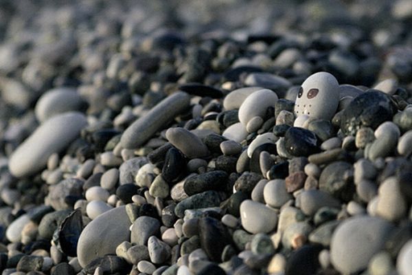 Daily picdump (118 pics)