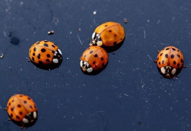 Daily picdump (118 pics)