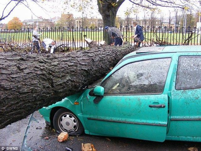 Daily picdump (118 pics)