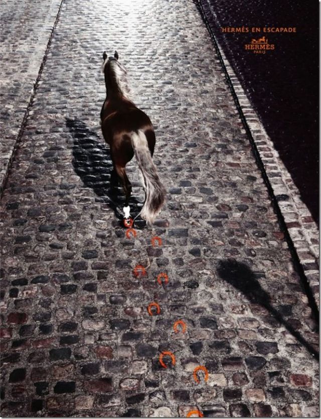 Daily picdump (118 pics)