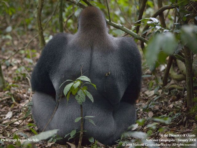 Daily picdump (118 pics)