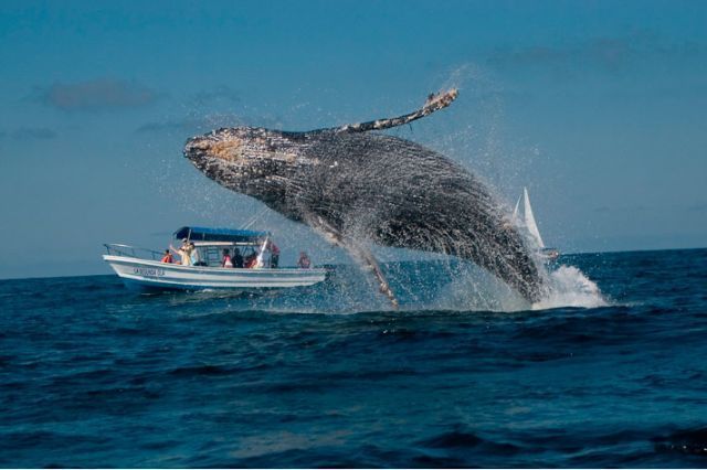 Daily picdump (118 pics)