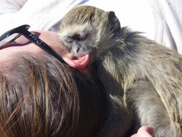 Daily picdump (118 pics)