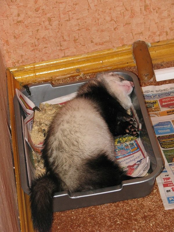 Daily picdump (118 pics)