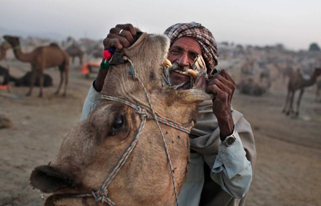 Daily picdump (118 pics)