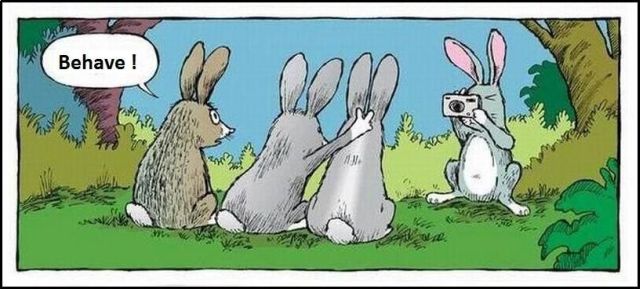 Daily picdump (118 pics)