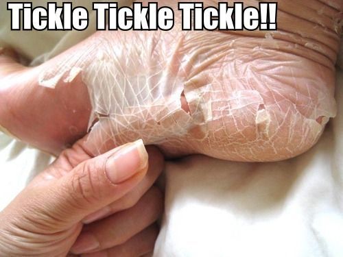 Daily picdump (118 pics)