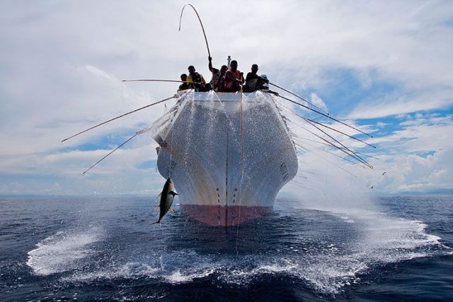 Daily picdump (118 pics)