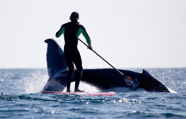 Daily picdump (118 pics)