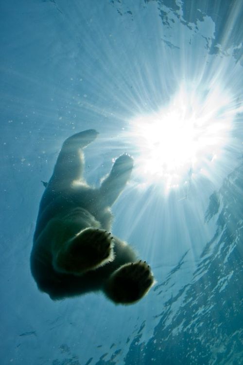 Daily picdump (118 pics)