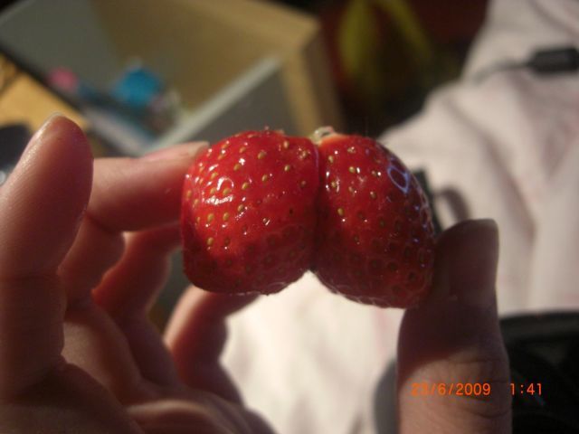 Daily picdump (118 pics)