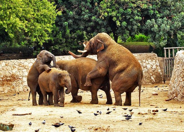 Daily picdump (118 pics)