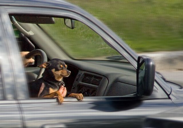 Daily picdump (118 pics)