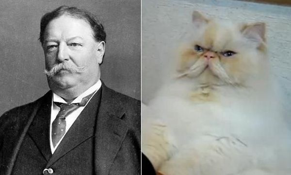 Daily picdump (118 pics)