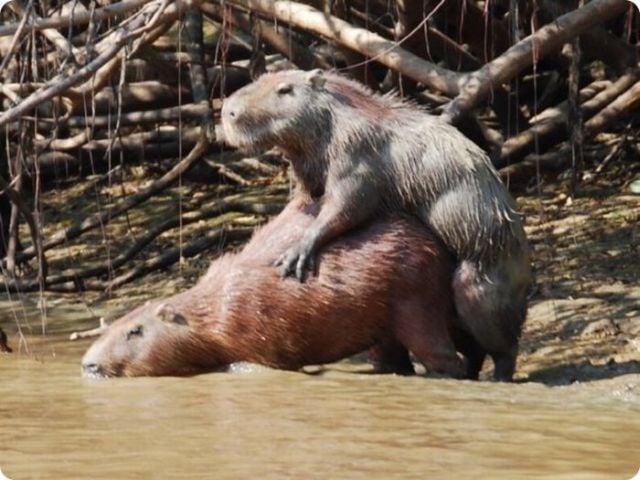 Daily picdump (118 pics)