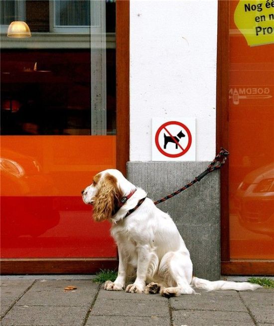 Daily picdump (118 pics)