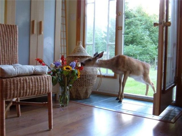 Daily picdump (118 pics)