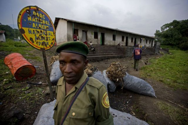 Life, death and money of mafia in the Congo (58 pics)