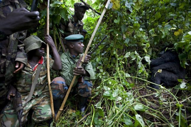 Life, death and money of mafia in the Congo (58 pics)