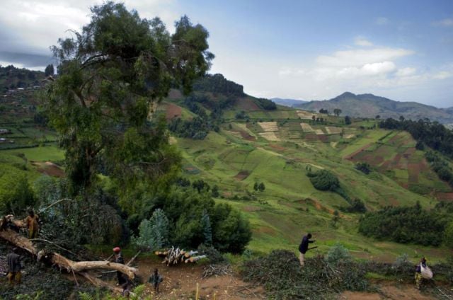 Life, death and money of mafia in the Congo (58 pics)