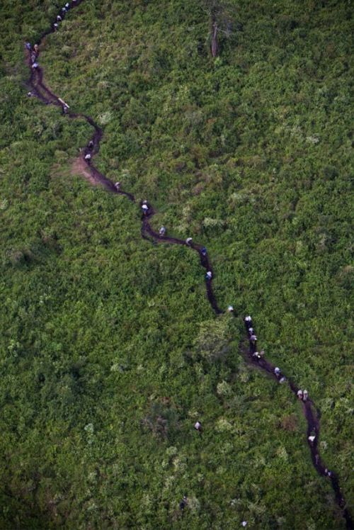 Life, death and money of mafia in the Congo (58 pics)