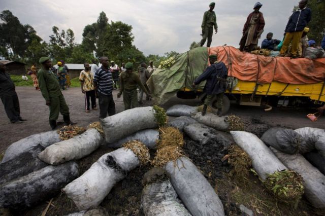 Life, death and money of mafia in the Congo (58 pics)