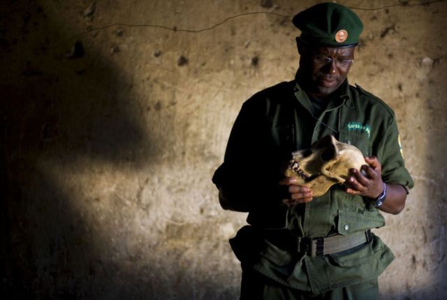 Life, death and money of mafia in the Congo (58 pics)