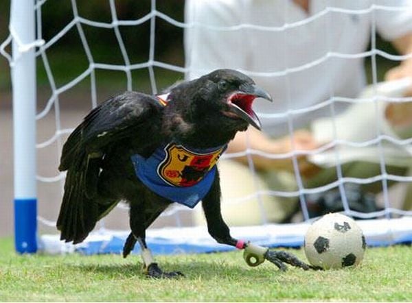 Daily picdump (82 pics)