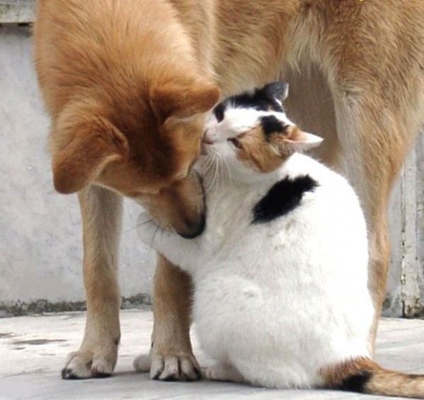 Daily picdump (82 pics)
