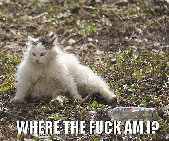 Daily picdump (82 pics)