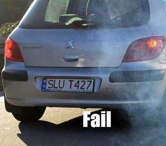 Daily picdump (82 pics)