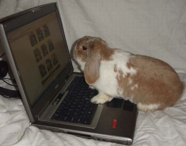 Daily picdump (82 pics)