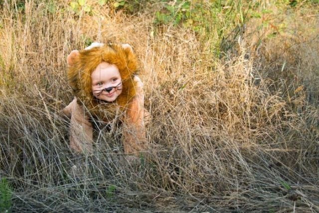 Daily picdump (82 pics)