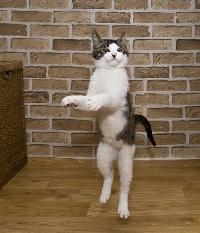 Daily picdump (82 pics)