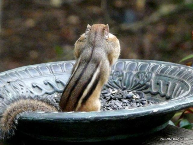 Daily picdump (82 pics)