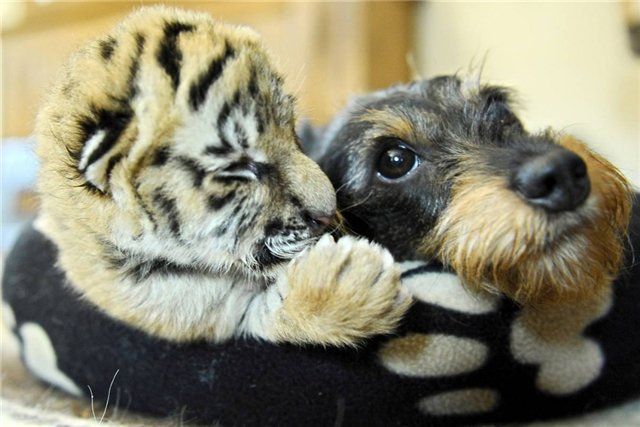 Daily picdump (82 pics)