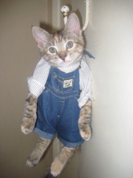 Daily picdump (82 pics)
