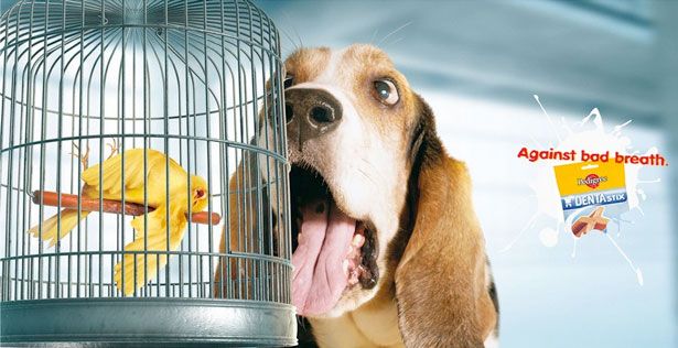 Funny Advertising Prints (40 pics)