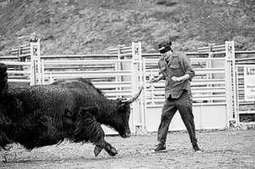 Shit happens. Part 3 (65 pics)