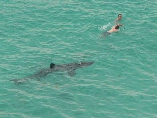 Shit happens. Part 3 (65 pics)