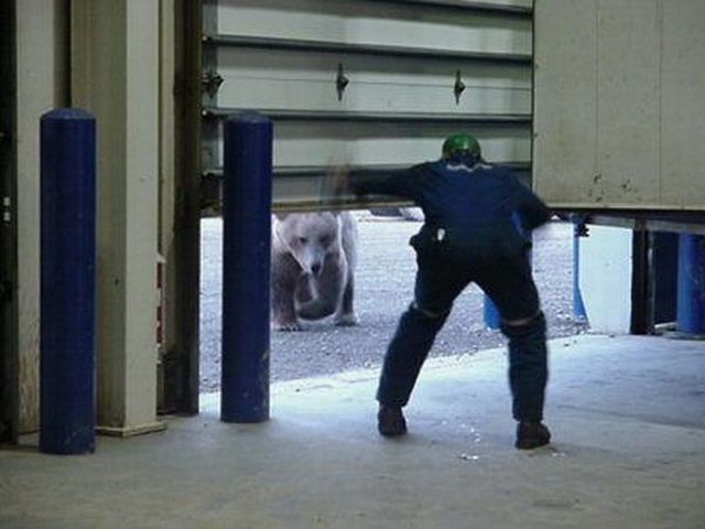 Shit happens. Part 3 (65 pics)