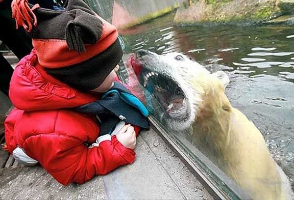 Shit happens. Part 3 (65 pics)