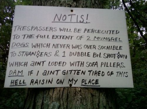 Daily picdump (116 pics)