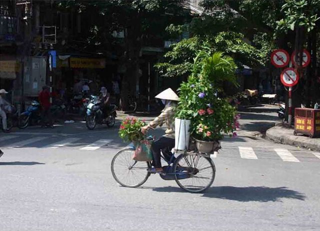 Daily picdump (116 pics)